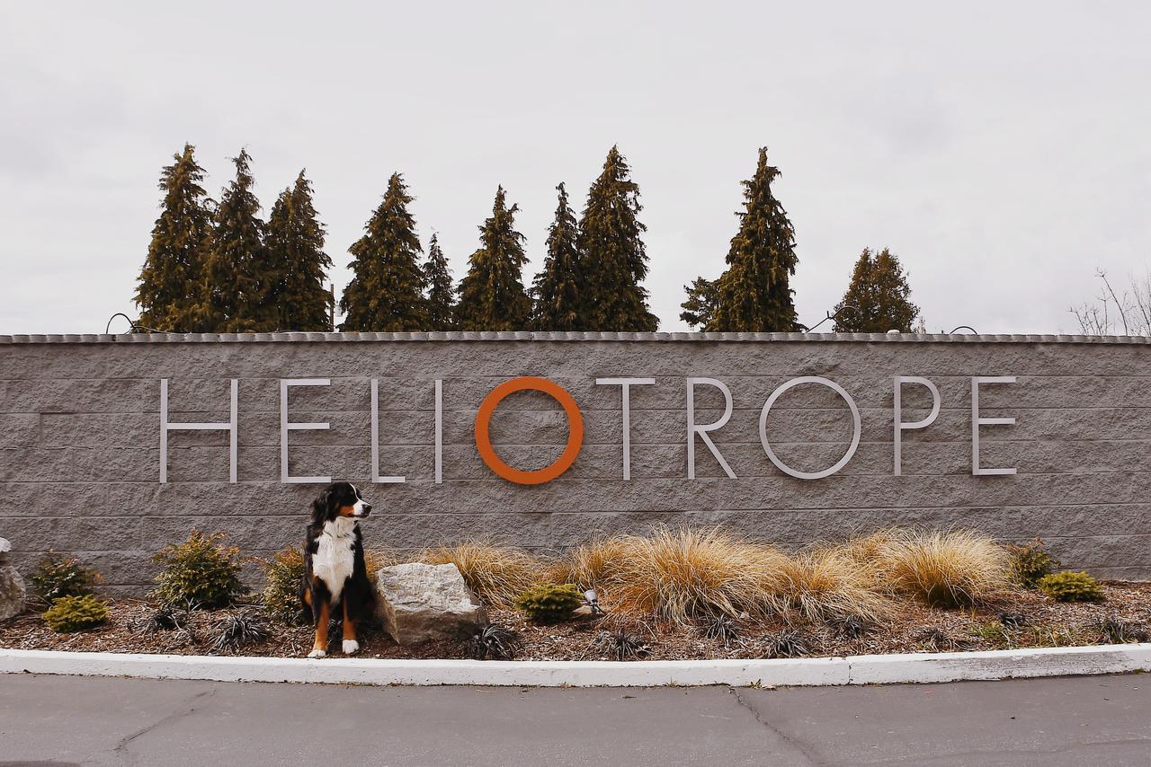 Heliotrope Hotel Bellingham Extérieur photo
